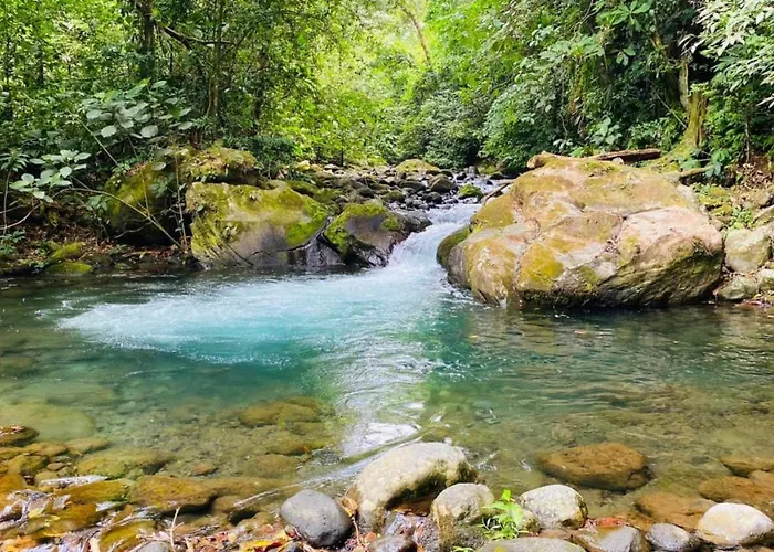 Hotel Blue River & Hot Springs 4*