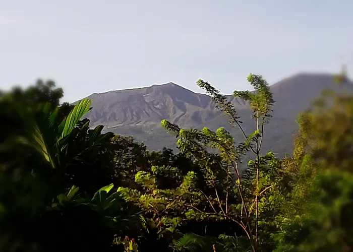 Blue River & Hot Springs 4* Liberia