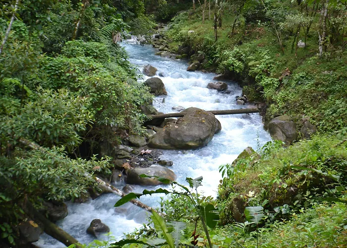 Hotel Blue River & Hot Springs Liberia