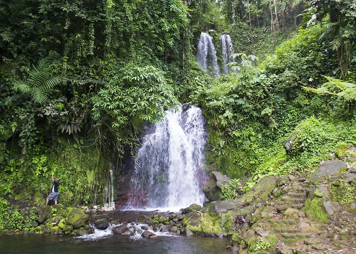 Blue River & Hot Springs 4* Liberia