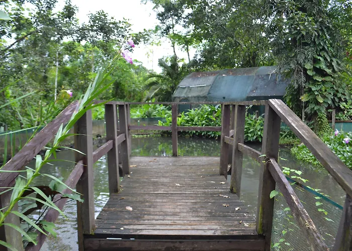 Hotel Blue River & Hot Springs Liberia