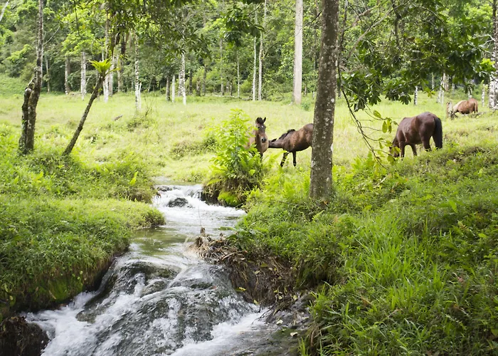 Blue River & Hot Springs 4*