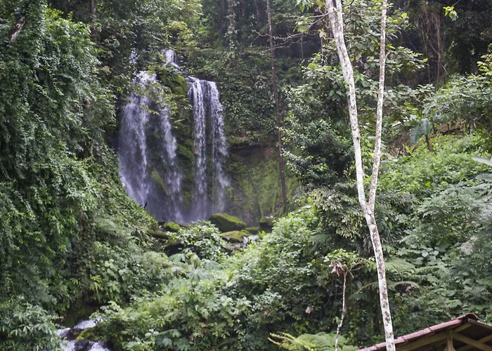 Blue River & Hot Springs Liberia