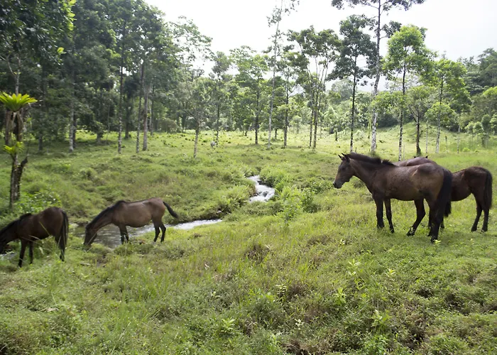 Blue River & Hot Springs 4*