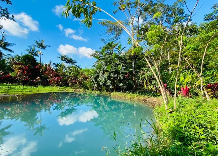 Blue River & Hot Springs 4* Liberia