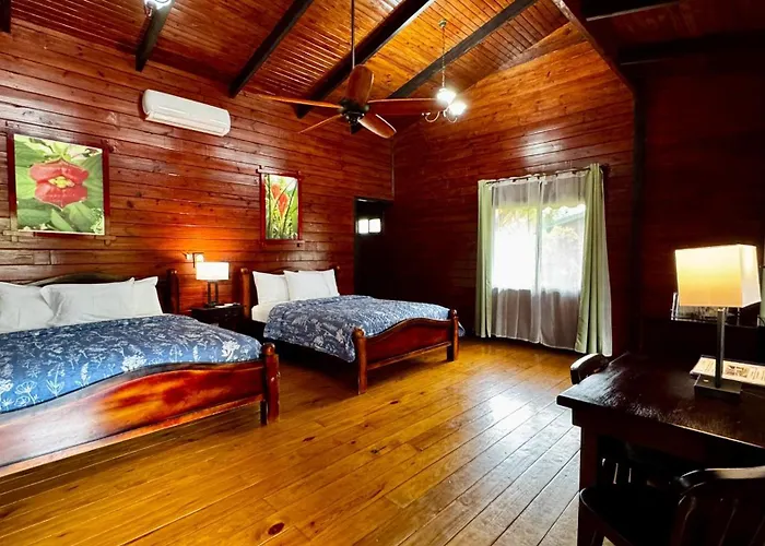 Blue River & Hot Springs 4* Liberia